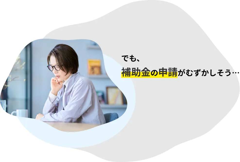 でも、補助金の申請がむずかしそう...
