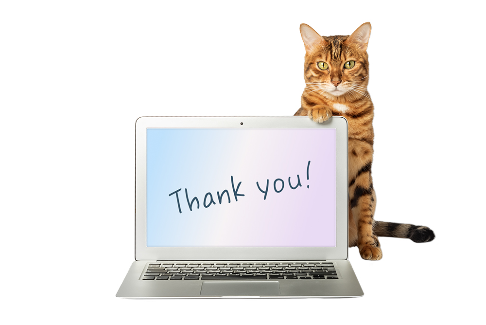 Thank you!
